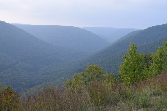 View of Slate Run Gorge